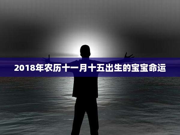 2018年农历十一月十五出生的宝宝命运