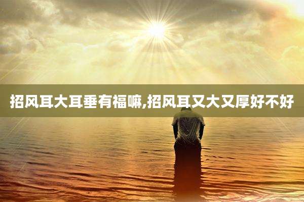 招风耳大耳垂有福嘛,招风耳又大又厚好不好