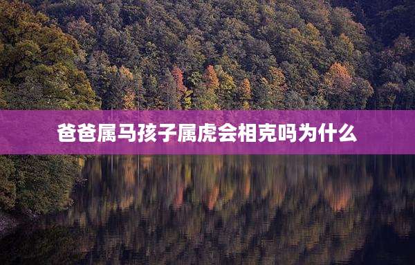 爸爸属马孩子属虎会相克吗为什么