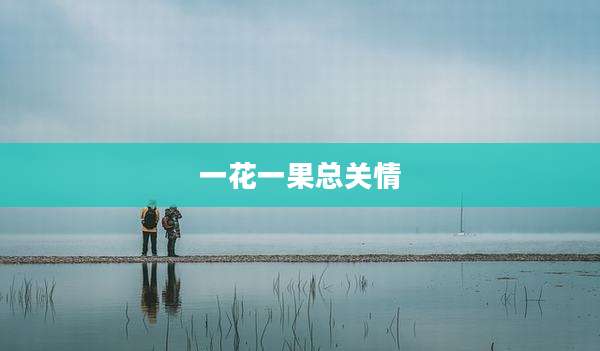 一花一果总关情