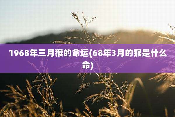 1968年三月猴的命运(68年3月的猴是什么命)