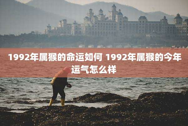 1992年属猴的命运如何 1992年属猴的今年运气怎么样