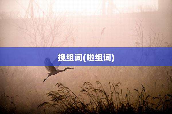 挽组词(啦组词)