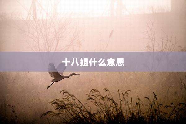 十八姐什么意思
