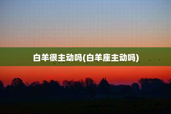 白羊很主动吗(白羊座主动吗)