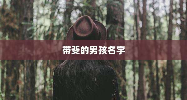 带斐的男孩名字