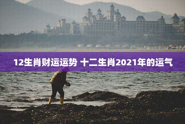 12生肖财运运势 十二生肖2021年的运气