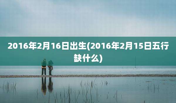 2016年2月16日出生(2016年2月15日五行缺什么)