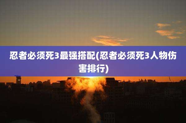 忍者必须死3最强搭配(忍者必须死3人物伤害排行)
