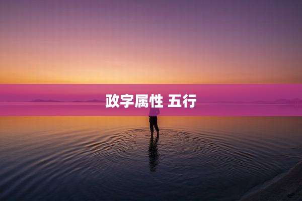 政字属性 五行