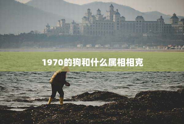 1970的狗和什么属相相克