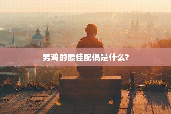 男鸡的最佳配偶是什么?