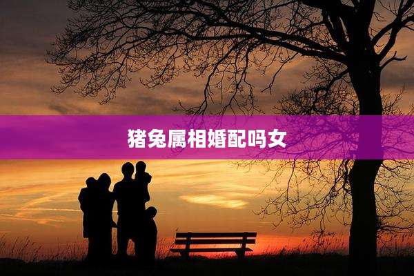猪兔属相婚配吗女