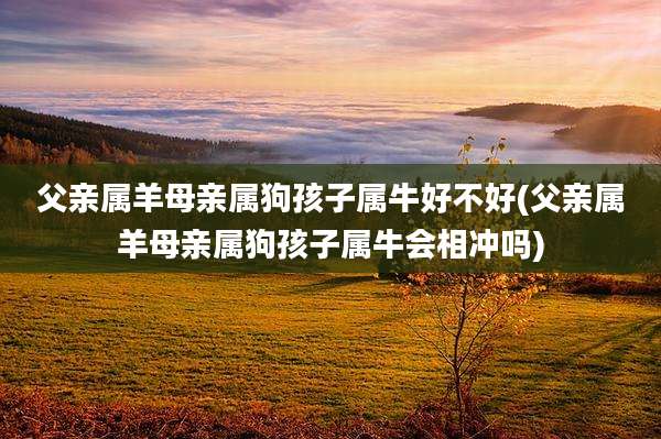 父亲属羊母亲属狗孩子属牛好不好(父亲属羊母亲属狗孩子属牛会相冲吗)