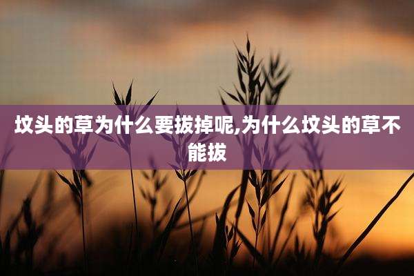 坟头的草为什么要拔掉呢,为什么坟头的草不能拔