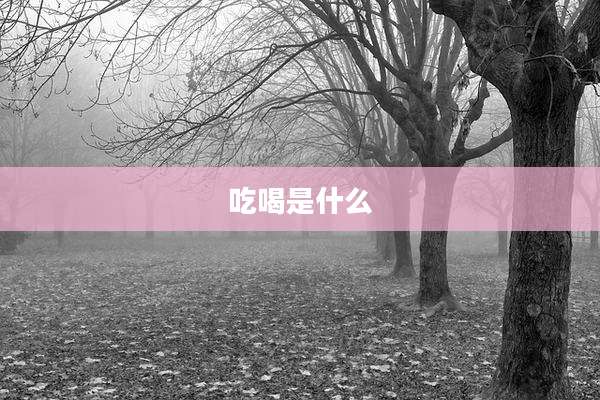 吃喝是什么