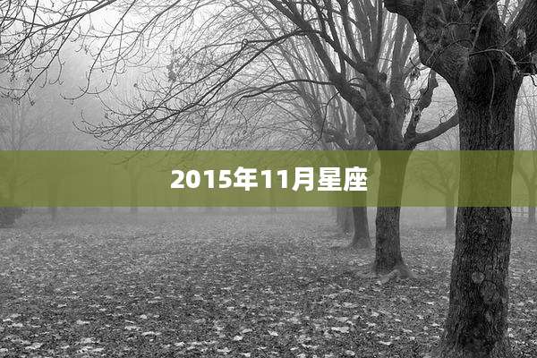 2015年11月星座