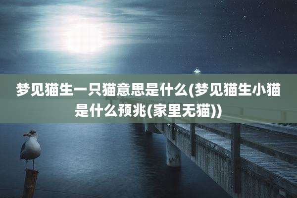 梦见猫生一只猫意思是什么(梦见猫生小猫是什么预兆(家里无猫))