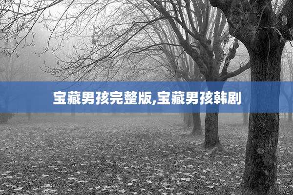 宝藏男孩完整版,宝藏男孩韩剧
