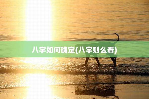 八字如何确定(八字则么看)