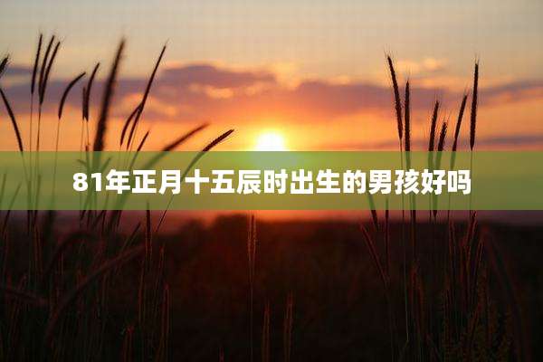 81年正月十五辰时出生的男孩好吗