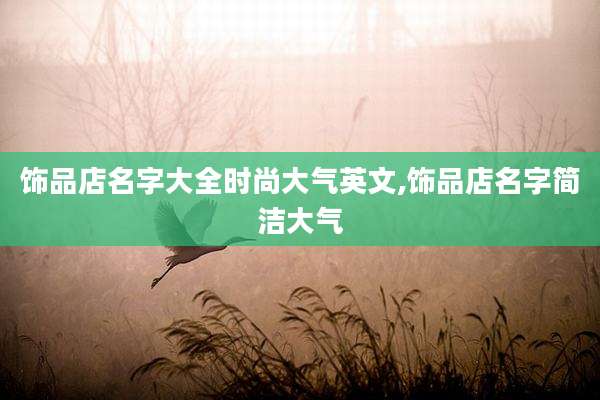 饰品店名字大全时尚大气英文,饰品店名字简洁大气