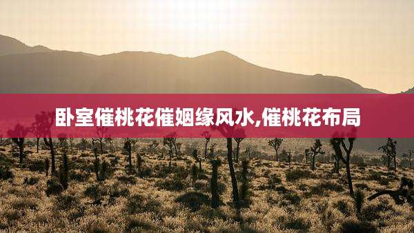 卧室催桃花催姻缘风水,催桃花布局