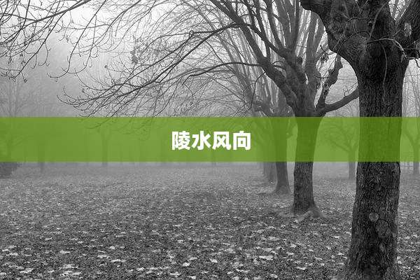 陵水风向