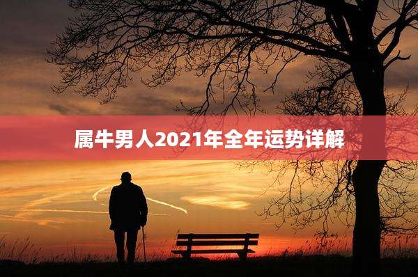 属牛男人2021年全年运势详解