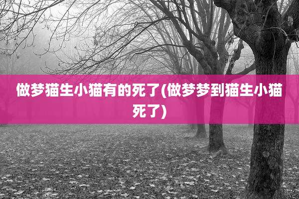 做梦猫生小猫有的死了(做梦梦到猫生小猫死了)