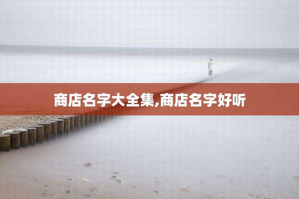 商店名字大全集,商店名字好听