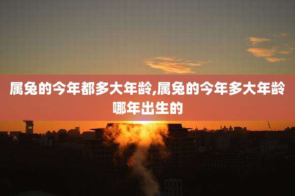 属兔的今年都多大年龄,属兔的今年多大年龄哪年出生的