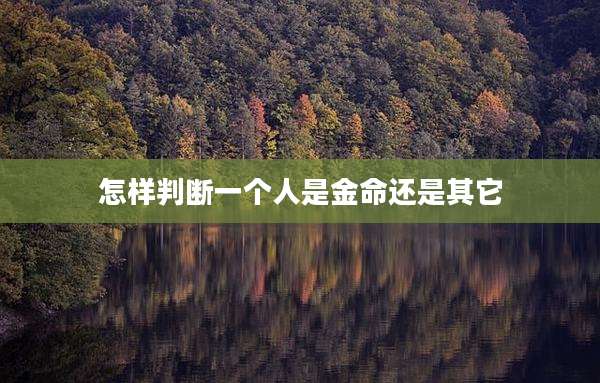 怎样判断一个人是金命还是其它