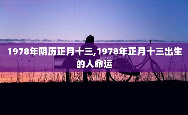 1978年阴历正月十三,1978年正月十三出生的人命运