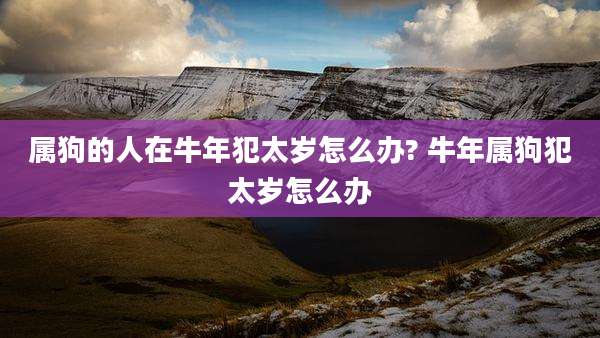 属狗的人在牛年犯太岁怎么办? 牛年属狗犯太岁怎么办