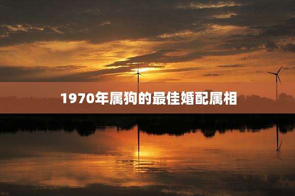 1970年属狗的最佳婚配属相