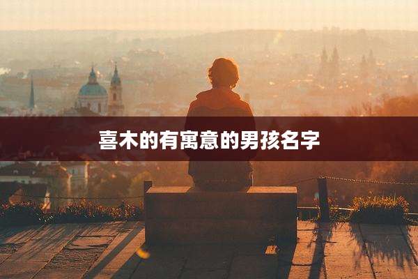 喜木的有寓意的男孩名字