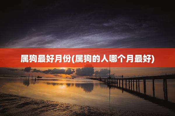 属狗最好月份(属狗的人哪个月最好)