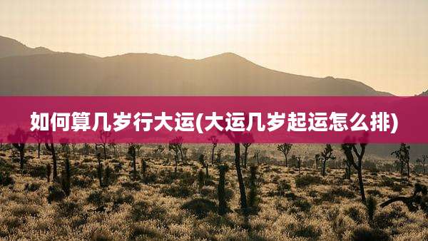 如何算几岁行大运(大运几岁起运怎么排)