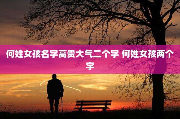 何姓女孩名字高贵大气二个字 何姓女孩两个字