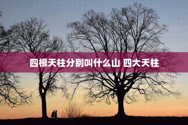 四根天柱分别叫什么山 四大天柱