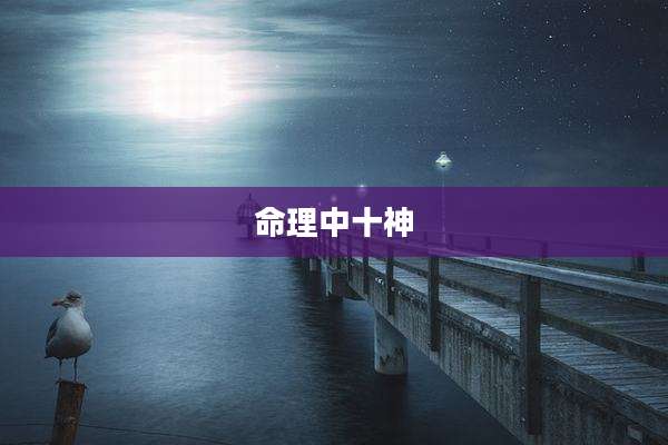 命理中十神