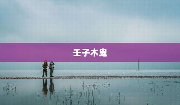 壬子木鬼