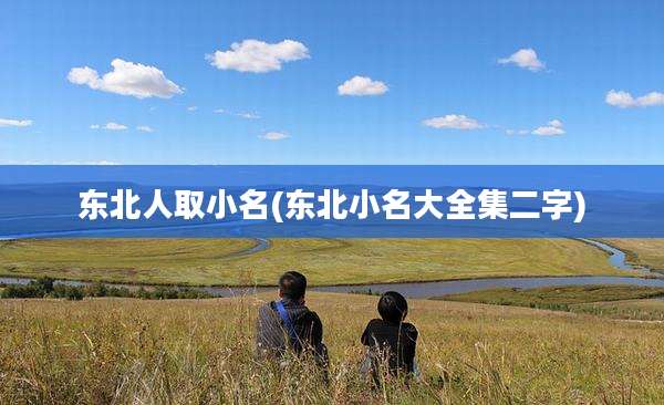 东北人取小名(东北小名大全集二字)