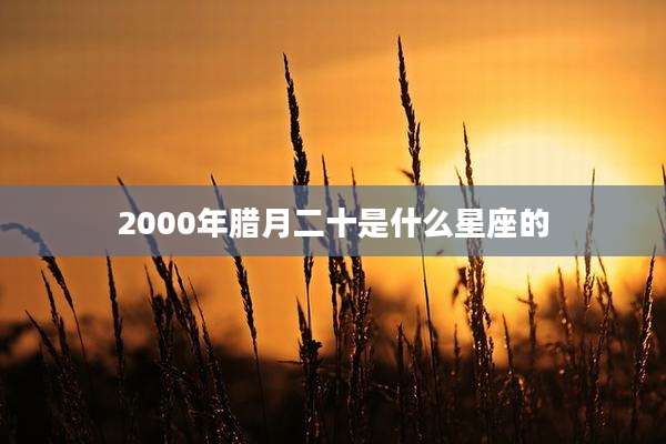 2000年腊月二十是什么星座的