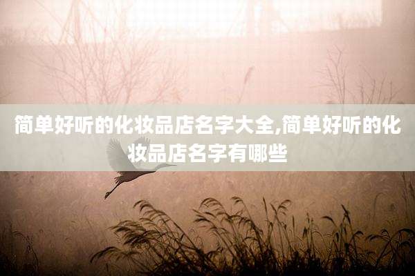 简单好听的化妆品店名字大全,简单好听的化妆品店名字有哪些