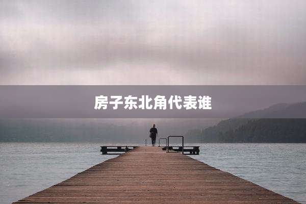 房子东北角代表谁