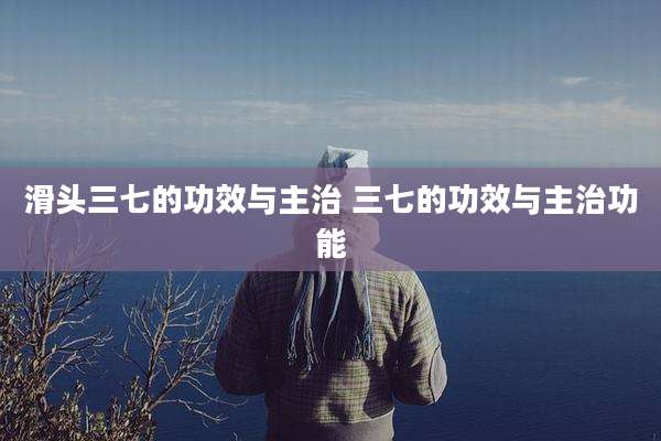滑头三七的功效与主治 三七的功效与主治功能
