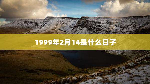 1999年2月14是什么日子