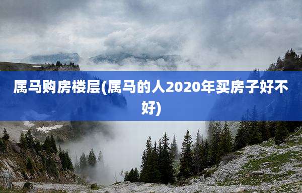 属马购房楼层(属马的人2020年买房子好不好)